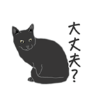 黒猫＿体調を伝える編（個別スタンプ：34）