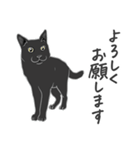 黒猫＿体調を伝える編（個別スタンプ：39）