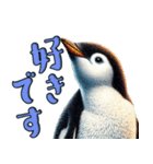 リアルなペンギン2【愛と喜怒哀楽編】（個別スタンプ：1）