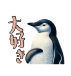 リアルなペンギン2【愛と喜怒哀楽編】（個別スタンプ：2）