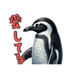 リアルなペンギン2【愛と喜怒哀楽編】（個別スタンプ：6）