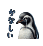 リアルなペンギン2【愛と喜怒哀楽編】（個別スタンプ：29）