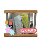 サザナミボーイズ16（個別スタンプ：17）