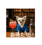 人間のようなチワワさん1（個別スタンプ：4）