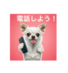 人間のようなチワワさん1（個別スタンプ：6）