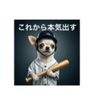 人間のようなチワワさん1（個別スタンプ：11）