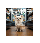 人間のようなチワワさん1（個別スタンプ：16）