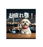 とても元気なシーズーさん3（個別スタンプ：4）