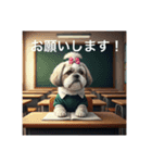 とても元気なシーズーさん3（個別スタンプ：16）
