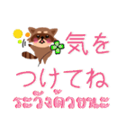 アライグマ タイ語-日本語（個別スタンプ：10）