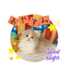 ねこまーち プリプリプリンセス（個別スタンプ：4）