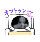 ペットスターンプ（個別スタンプ：5）