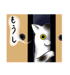 猫股が来る_1（個別スタンプ：7）