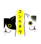 猫股が来る_1（個別スタンプ：31）