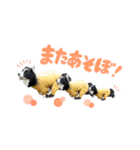 ボーダーコリーのあんこ（個別スタンプ：10）