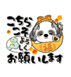 B＆Wシーズー犬 『新年』2025（個別スタンプ：11）