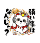 B＆Wシーズー犬 『新年』2025（個別スタンプ：16）