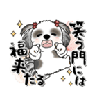 B＆Wシーズー犬 『新年』2025（個別スタンプ：34）