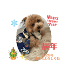 ピノさんwith13（個別スタンプ：1）