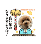 ピノさんwith13（個別スタンプ：2）