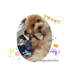 ピノさんwith13（個別スタンプ：4）