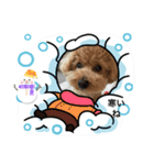 ピノさんwith13（個別スタンプ：5）