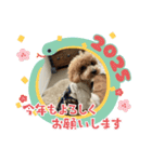 ピノさんwith13（個別スタンプ：6）