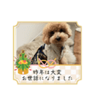 ピノさんwith13（個別スタンプ：7）