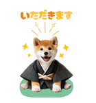 【BIG】新年あけおめ♡柴犬（敬語）（個別スタンプ：16）