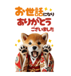 【BIG】新年あけおめ♡柴犬（敬語）（個別スタンプ：20）