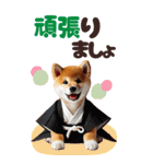 【BIG】新年あけおめ♡柴犬（敬語）（個別スタンプ：29）