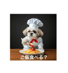 とても元気なシーズーさん4（個別スタンプ：1）