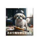 とても元気なシーズーさん4（個別スタンプ：11）