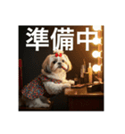 とても元気なシーズーさん4（個別スタンプ：13）