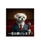 とても元気なシーズーさん4（個別スタンプ：16）
