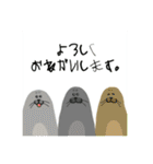 あざらしふぁみりー（個別スタンプ：23）