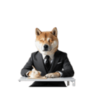 サラリーマン柴犬太（個別スタンプ：1）