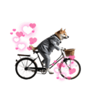 サラリーマン柴犬太（個別スタンプ：3）