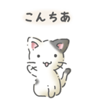 猫のスタンプ その14(日常会話）（個別スタンプ：2）