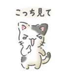 猫のスタンプ その14(日常会話）（個別スタンプ：8）