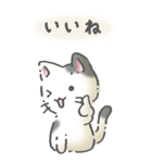 猫のスタンプ その14(日常会話）（個別スタンプ：10）