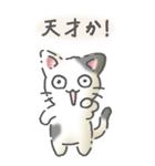 猫のスタンプ その14(日常会話）（個別スタンプ：12）