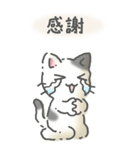 猫のスタンプ その14(日常会話）（個別スタンプ：15）