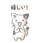 猫のスタンプ その14(日常会話）（個別スタンプ：25）