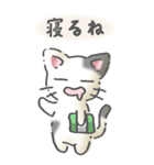 猫のスタンプ その14(日常会話）（個別スタンプ：37）