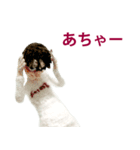 小さな原さん（個別スタンプ：26）