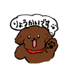 トイプーまとめ（個別スタンプ：1）