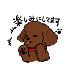 トイプーまとめ（個別スタンプ：4）
