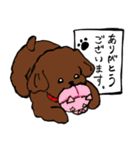 トイプーまとめ（個別スタンプ：5）