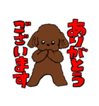 トイプーまとめ（個別スタンプ：6）